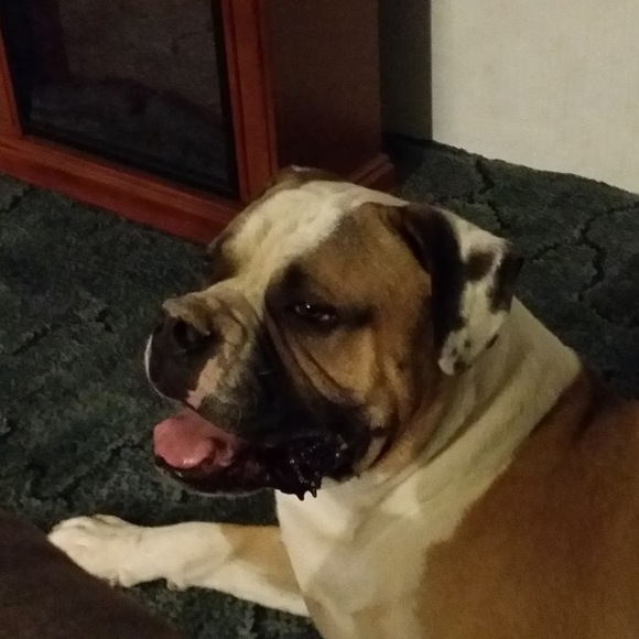 Meet your Posher, Robert - Picture 1 of 1